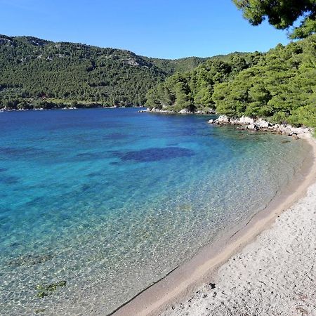 Apartments By The Sea Zuljana, Peljesac - 19080 Eksteriør bilde