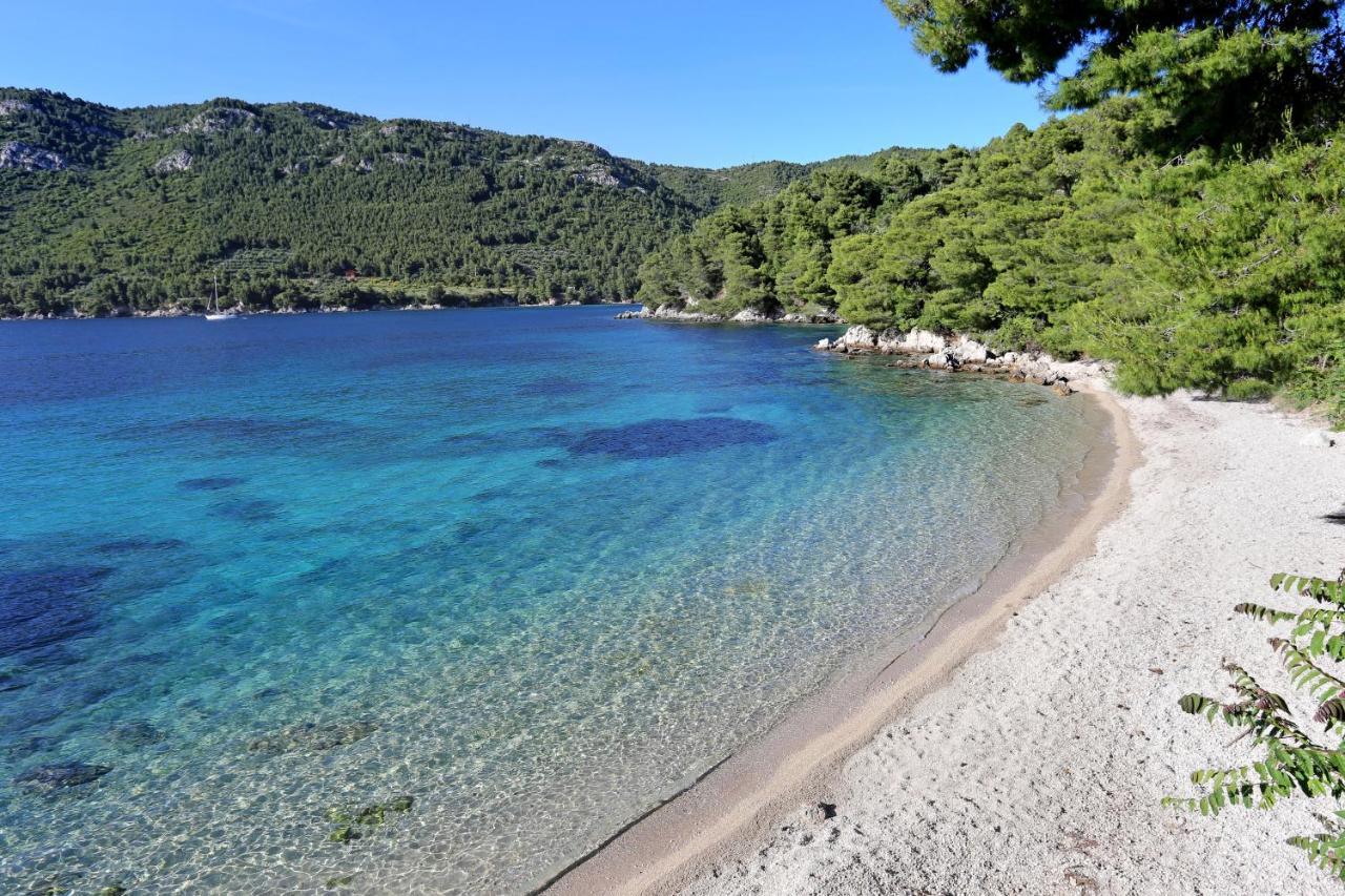 Apartments By The Sea Zuljana, Peljesac - 19080 Eksteriør bilde